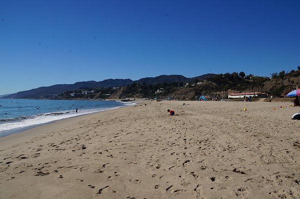 WIll Rogers.Beach.Towers.6.To.7.113