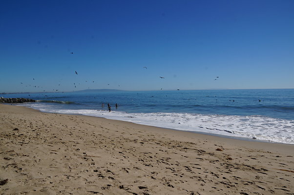 WIll Rogers.Beach.Towers.6.To.7.102