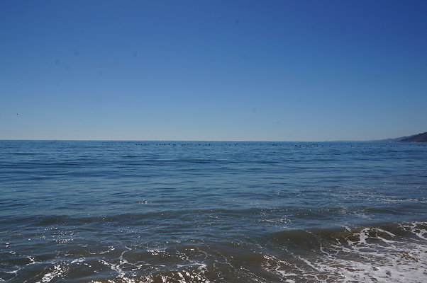 WIll Rogers.Beach.Towers.5.To.6.124