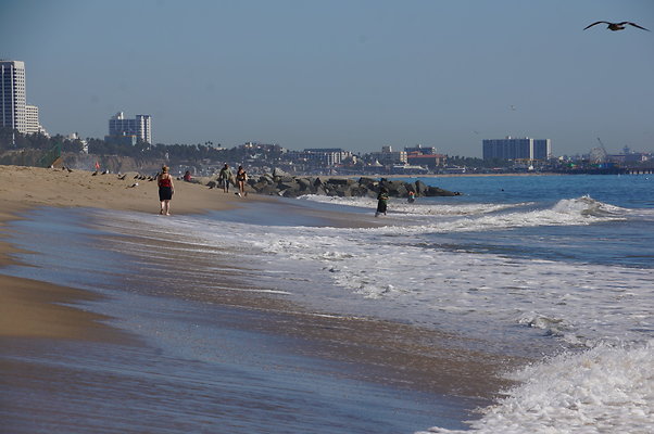 WIll Rogers.Beach.Towers.5.To.6.110
