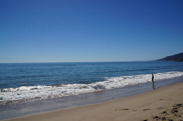 WIll Rogers.Beach.Towers.5.To.6.68