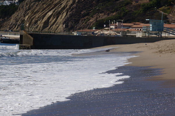 WIll Rogers.Beach.Towers.5.To.6.111