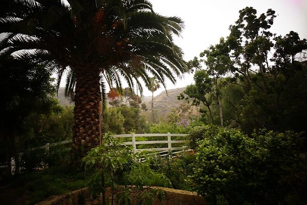 property 1430 0082