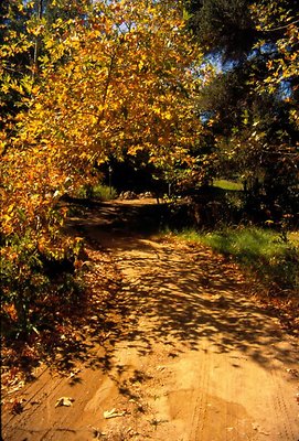 property 3578 0064 property 3578 0064