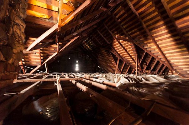 10191 attic