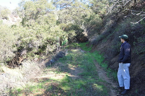 Zorthian.Roads.10