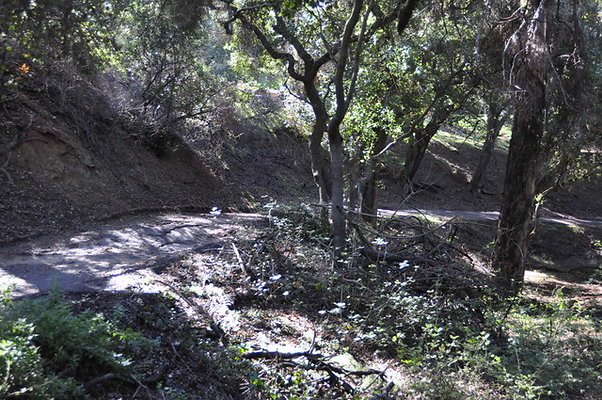 Zorthian.Roads.38