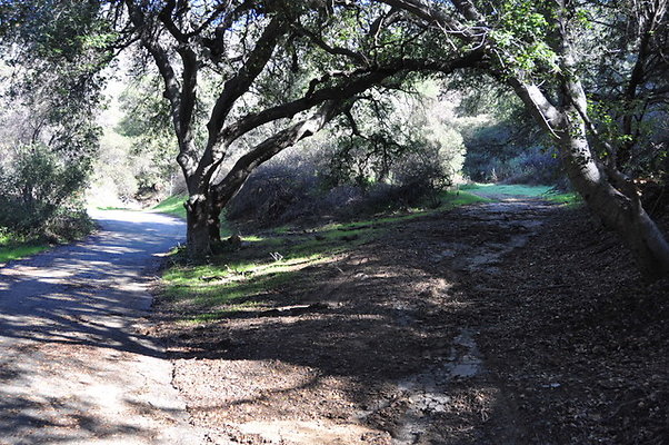 Zorthian.Roads.24