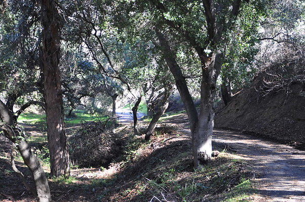 Zorthian.Roads.32