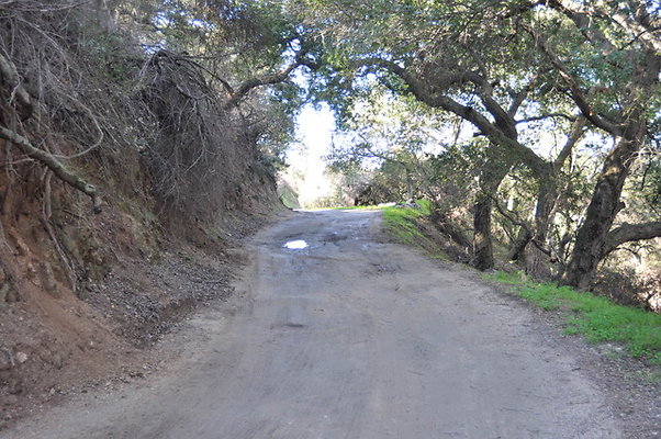 Zorthian.Roads.43