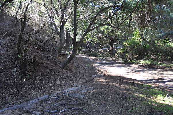 Zorthian.Roads.05