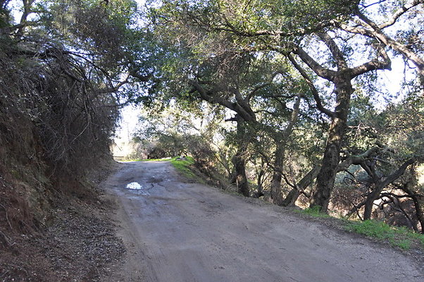 Zorthian.Roads.44