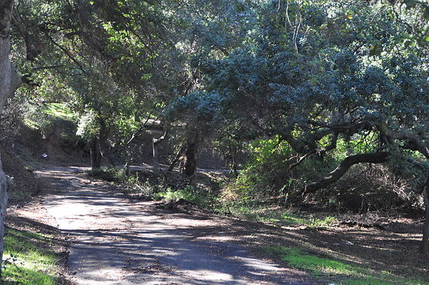Zorthian.Roads.03