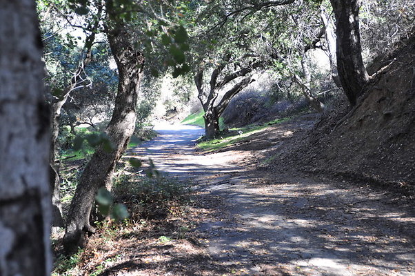 Zorthian.Roads.34