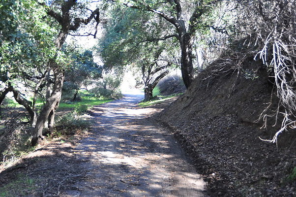 Zorthian.Roads.26