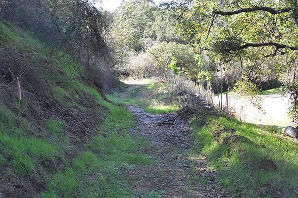 Zorthian.Roads.15