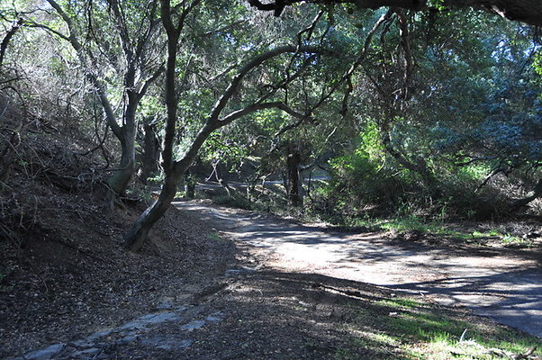 Zorthian.Roads.21
