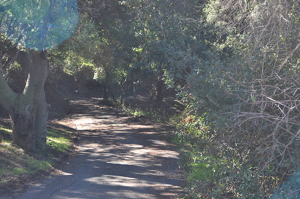 Zorthian.Roads