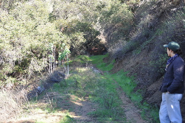 Zorthian.Roads.09