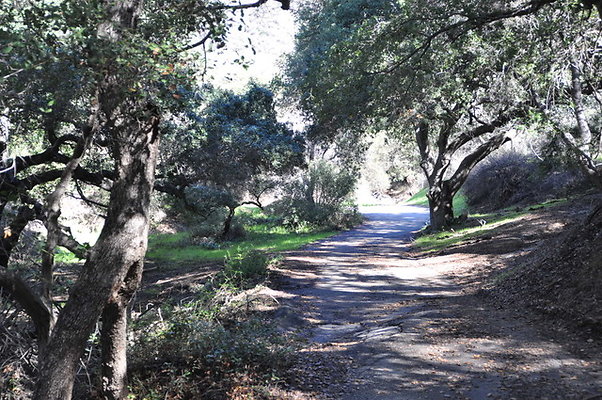 Zorthian.Roads.36