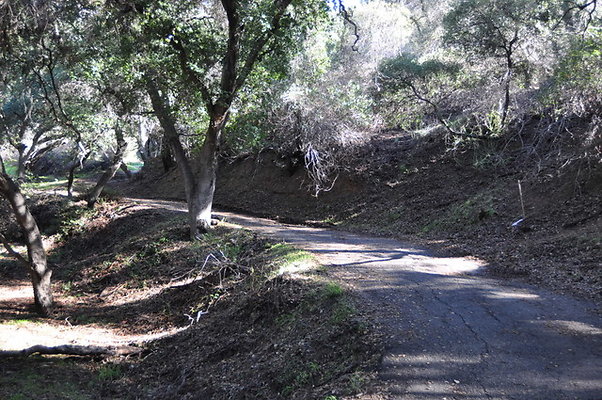 Zorthian.Roads.30