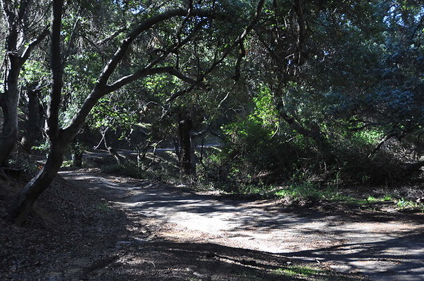 Zorthian.Roads.20