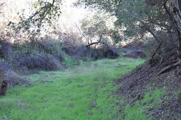Zorthian.Roads.13
