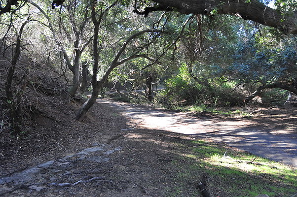 Zorthian.Roads.06