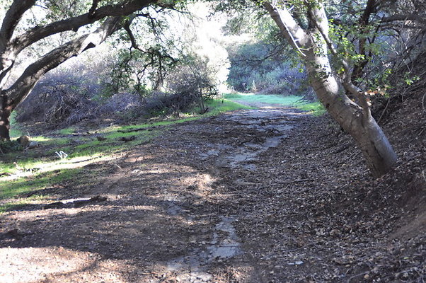 Zorthian.Roads.23
