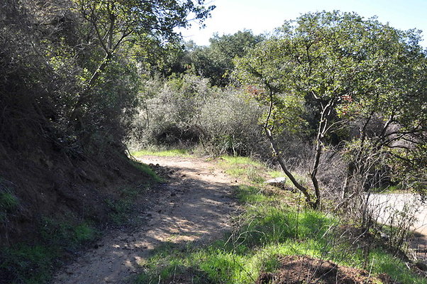Zorthian.Roads.18