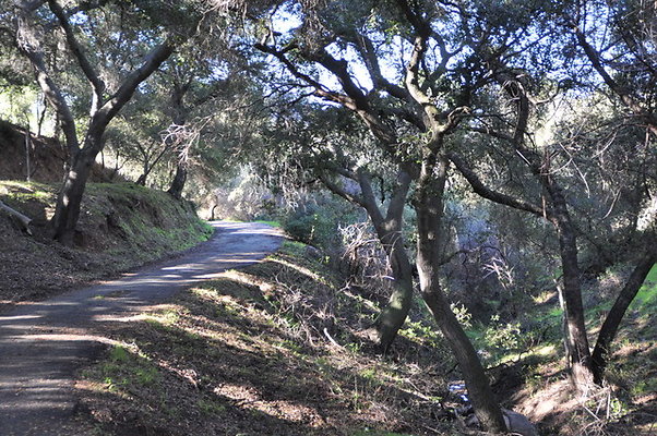 Zorthian.Roads.25