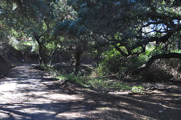 Zorthian.Roads.22