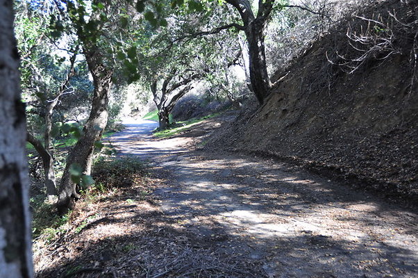 Zorthian.Roads.35