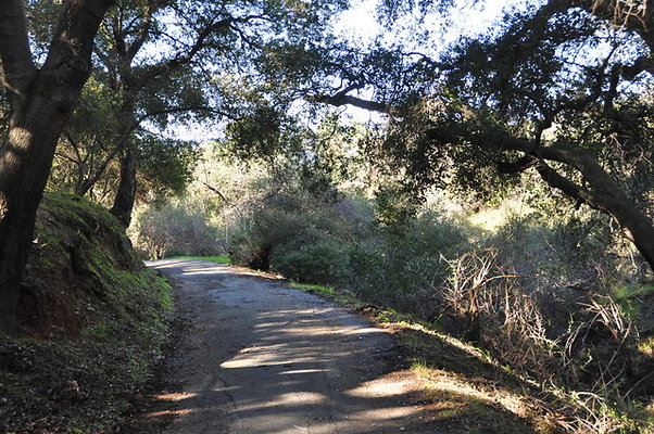 Zorthian.Roads.28