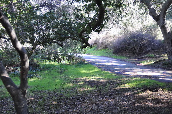 Zorthian.Roads.39
