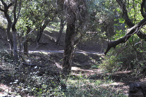 Zorthian.Roads.37