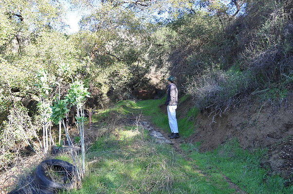 Zorthian.Roads.12