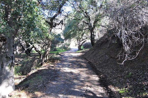 Zorthian.Roads.27