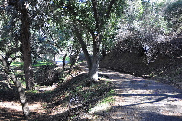 Zorthian.Roads.33