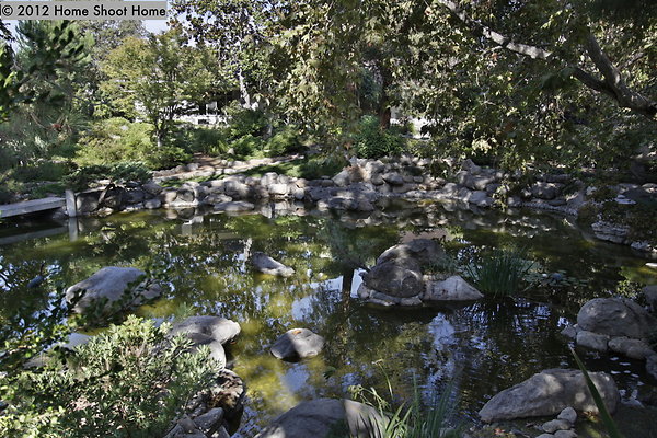 03pond-alt
