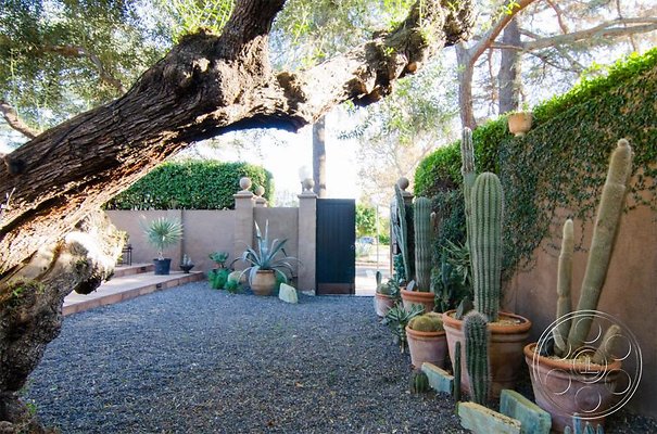 the-hacienda image 36