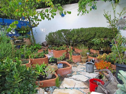 garden-9 image 19