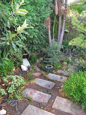 garden-9 image 10
