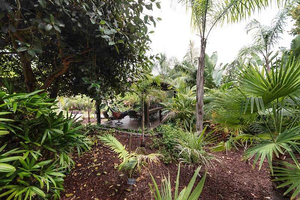 11012 garden4