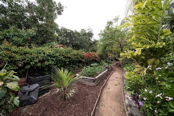 11012 garden10