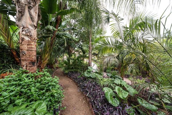 11012 garden7