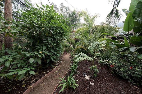11012 garden2
