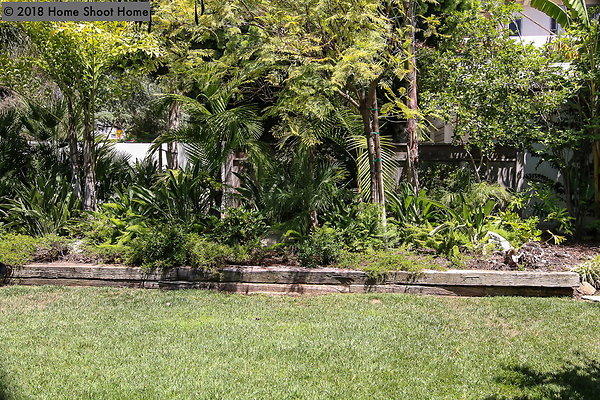 78front-yard-side-view