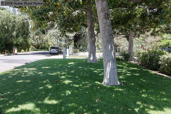 94front-lawn-side-view-reverse