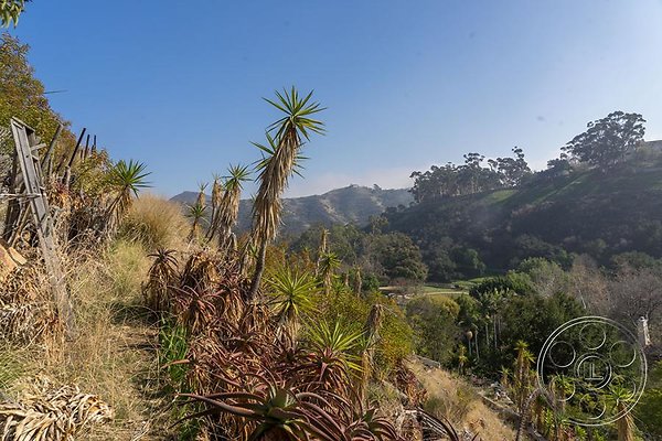lavender-hill-farm image 92